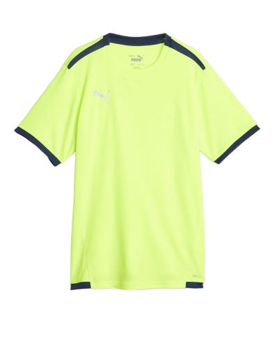 PUMA TeamLiga DryCell Football Tee Green