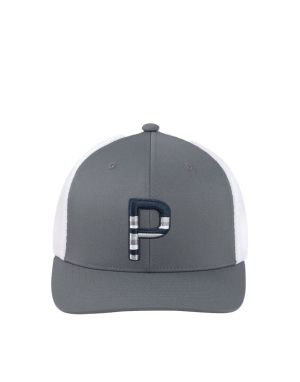 PUMA Sundown Trucker Snapback P Cap Grey/White