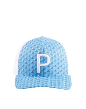 PUMA Palms Trucker P Snapback Cap Blue/White